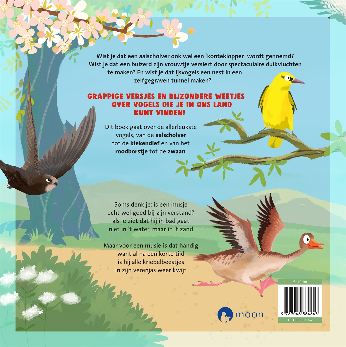 Achterkant van Het dikke vogelboek