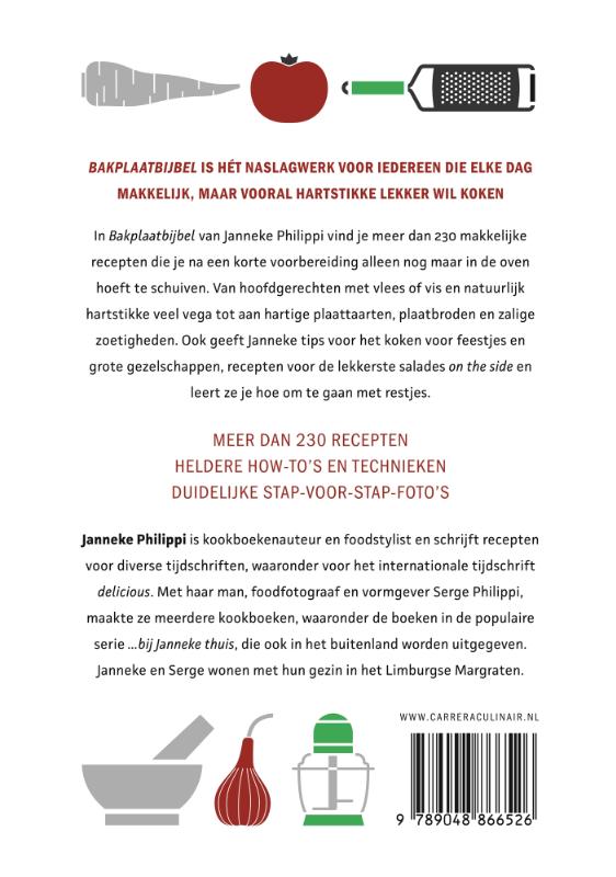 Achterkant van Bakplaatbijbel