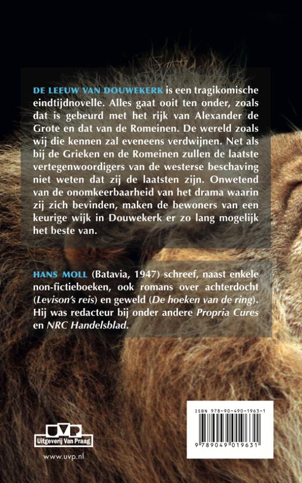 Achterkant van De Leeuw van Douwekerk