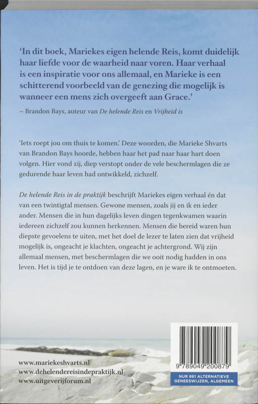 Achterkant van De helende Reis in de praktijk