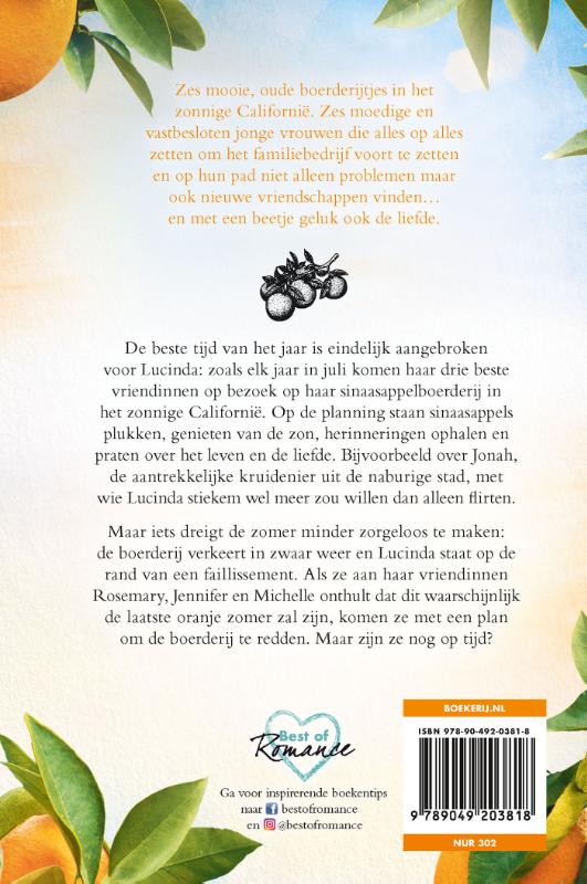 Achterkant van Zon in de sinaasappelboomgaard