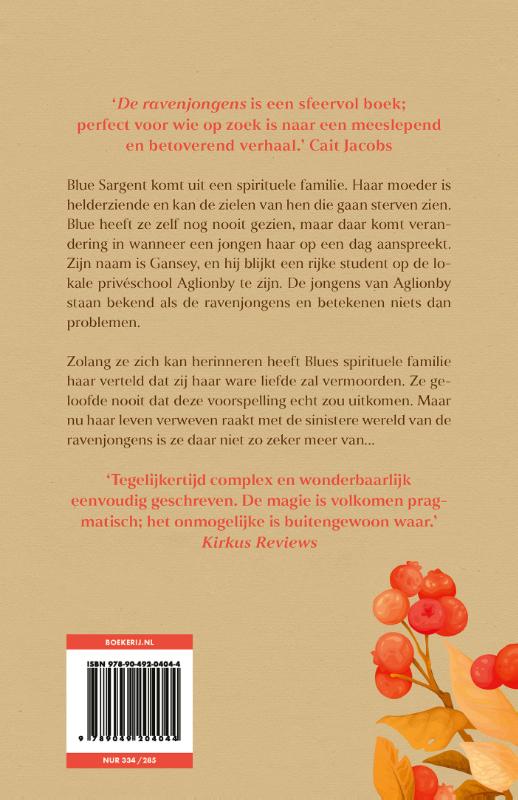 Achterkant van De ravenjongens