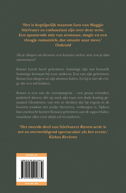 Achterkant van De dromendieven