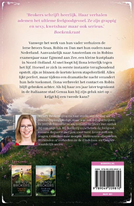 Achterkant van Stilte na de storm
