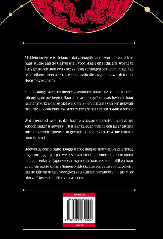 Achterkant van Veilige haven onder vuur