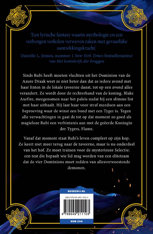 Achterkant van Dominion