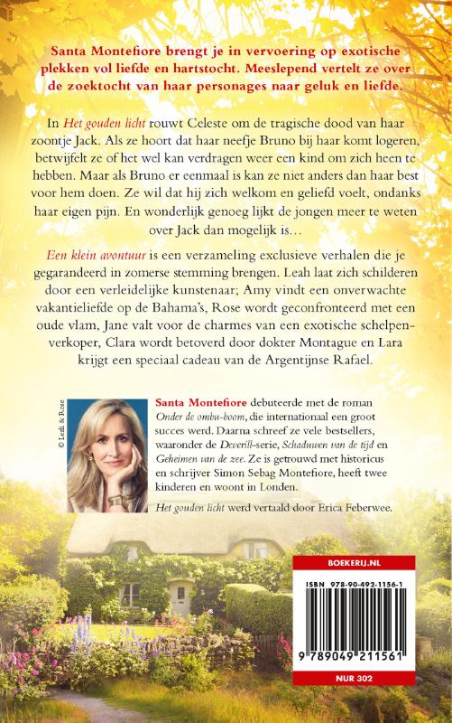 Achterkant van Het gouden licht