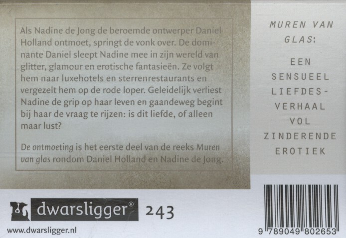 Achterkant van De ontmoeting