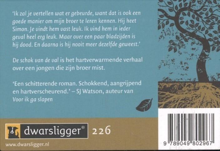 Achterkant van De schok van de val