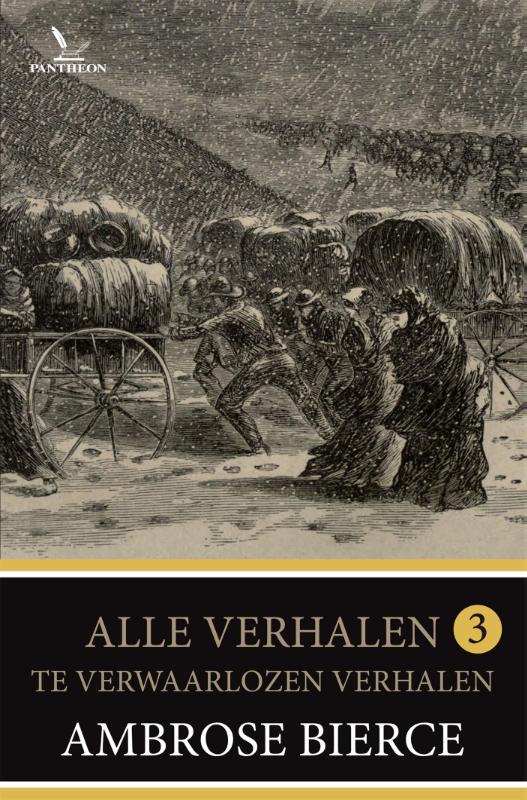 Achterkant van Te verwaarlozen verhalen
