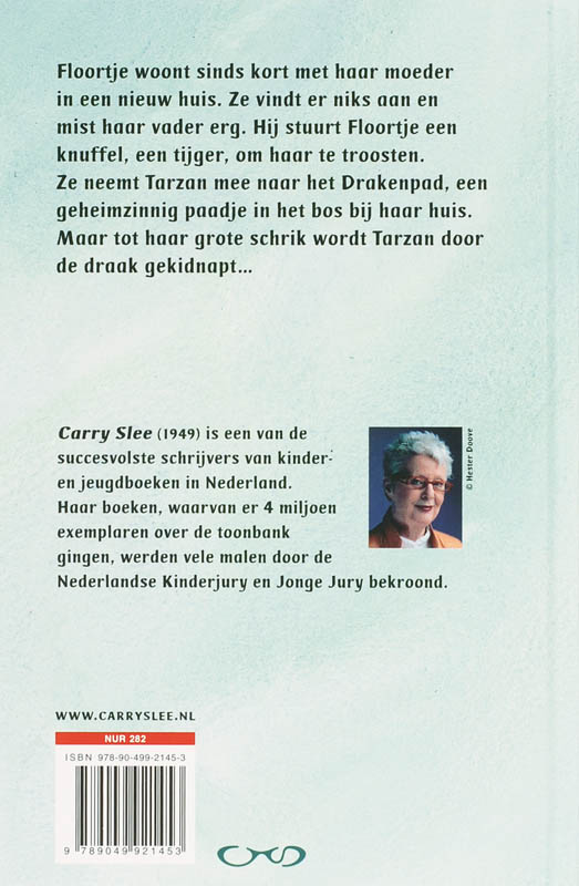 Achterkant van Het drakenpad