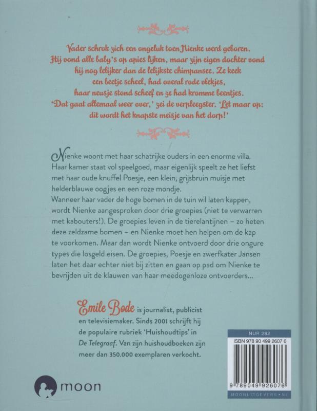 Achterkant van Het geheim van de Tierelantijn