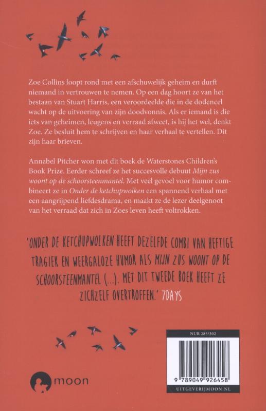 Achterkant van Onder de ketchupwolken