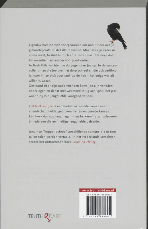 Achterkant van Het boek van Joe