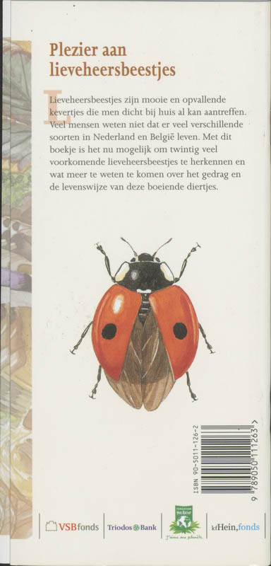 Achterkant van Lieveheersbeestjes in beeld