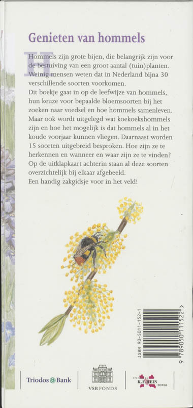 Achterkant van Hommels in beeld