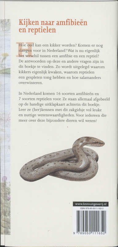 Achterkant van Amfibieen en reptielen in beeld