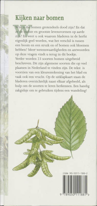 Achterkant van Bomen in beeld