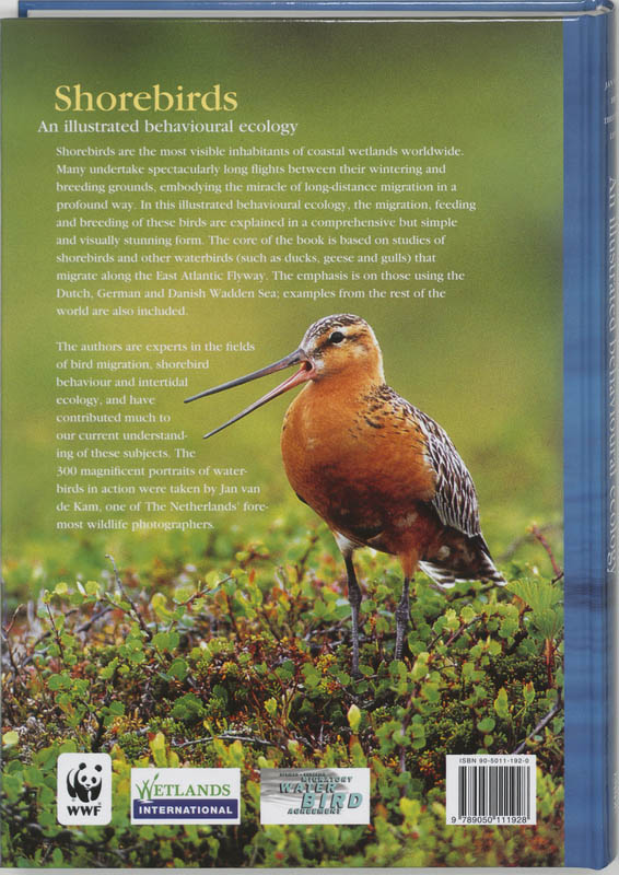Achterkant van Shorebirds