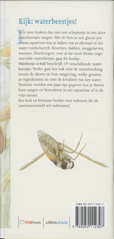 Achterkant van Waterbeestjes in beeld