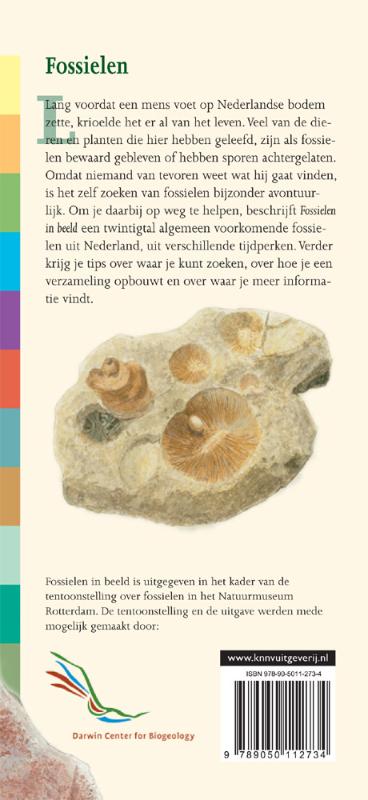 Achterkant van Fossielen in beeld