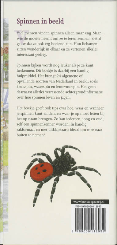 Achterkant van Spinnen in beeld
