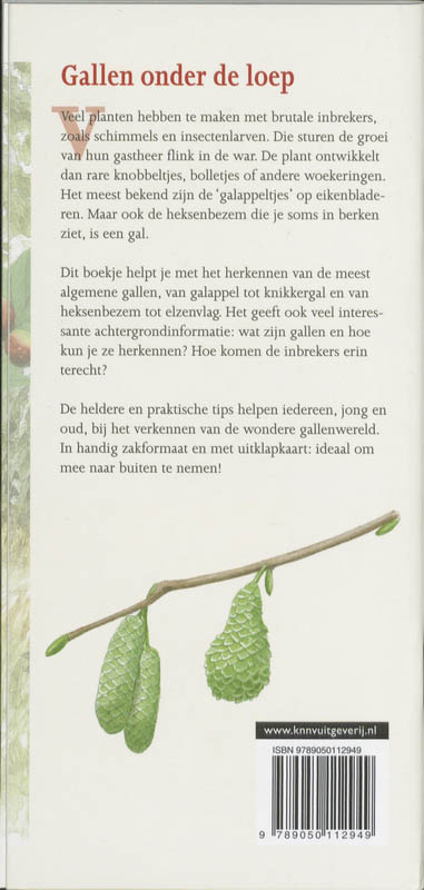 Achterkant van Gallen in beeld
