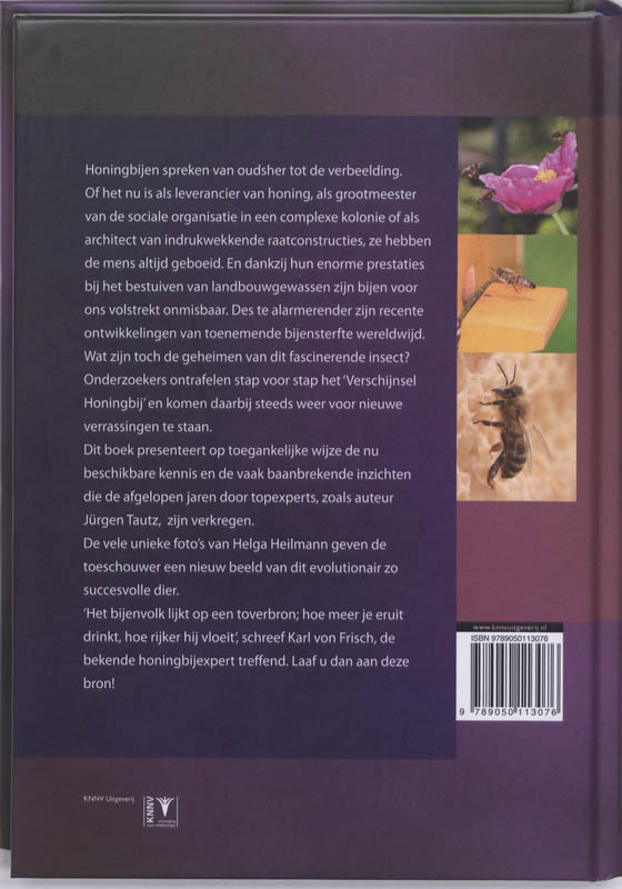 Achterkant van Honingbijen