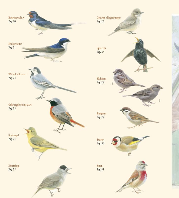 Achterkant van Erfvogels in beeld