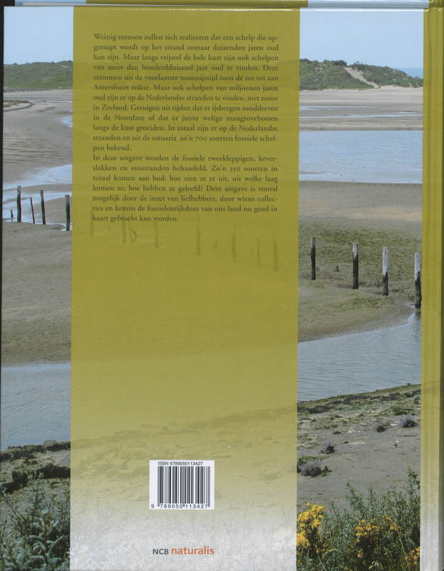 Achterkant van De fossiele schelpen van de Nederlandse kust