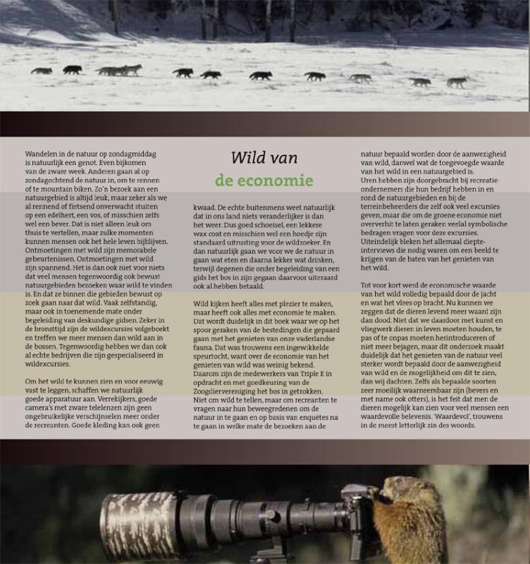 Achterkant van Wild van de economie