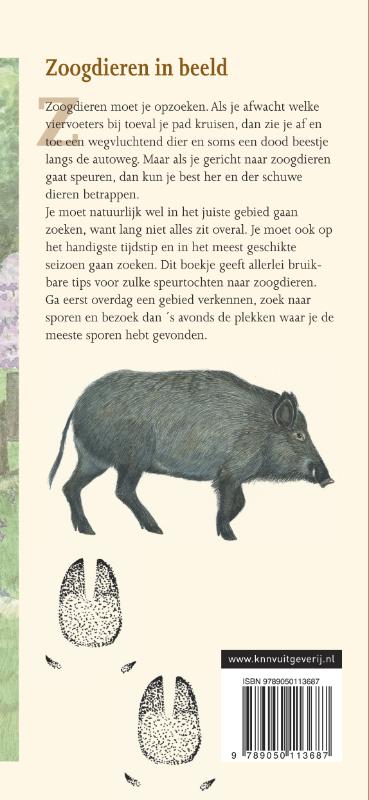Achterkant van Zoogdieren in beeld