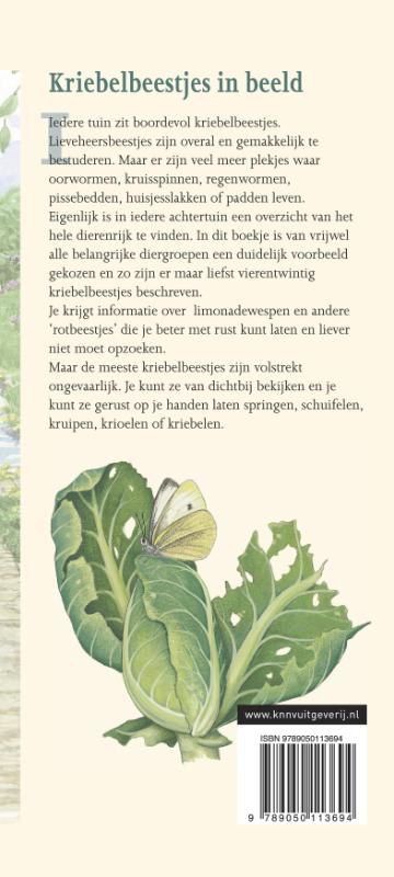 Achterkant van Kriebelbeestjes in beeld