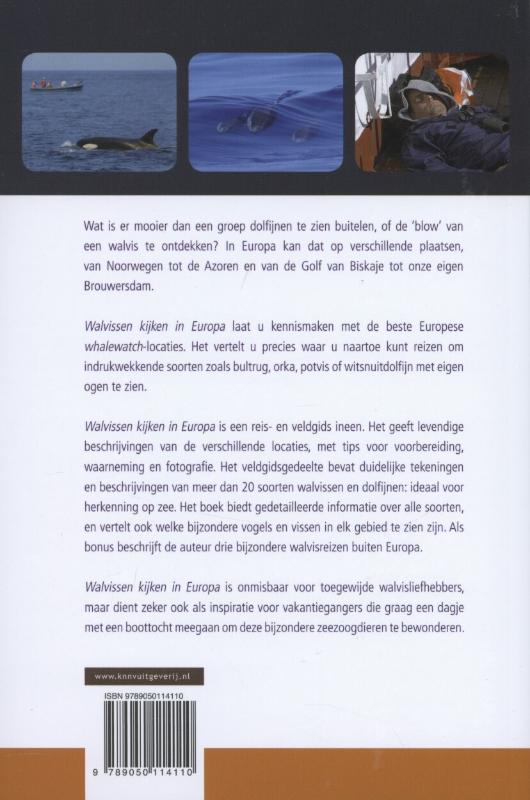 Achterkant van Walvissen kijken in Europa