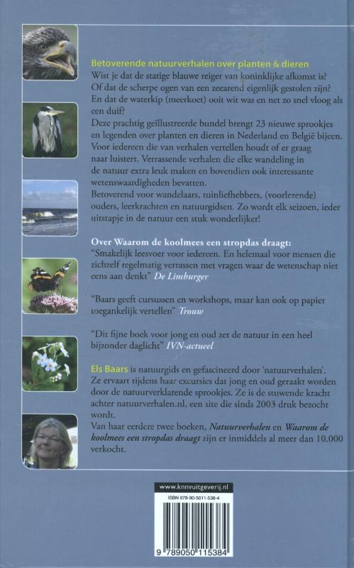 Achterkant van De jaloerse waterkip