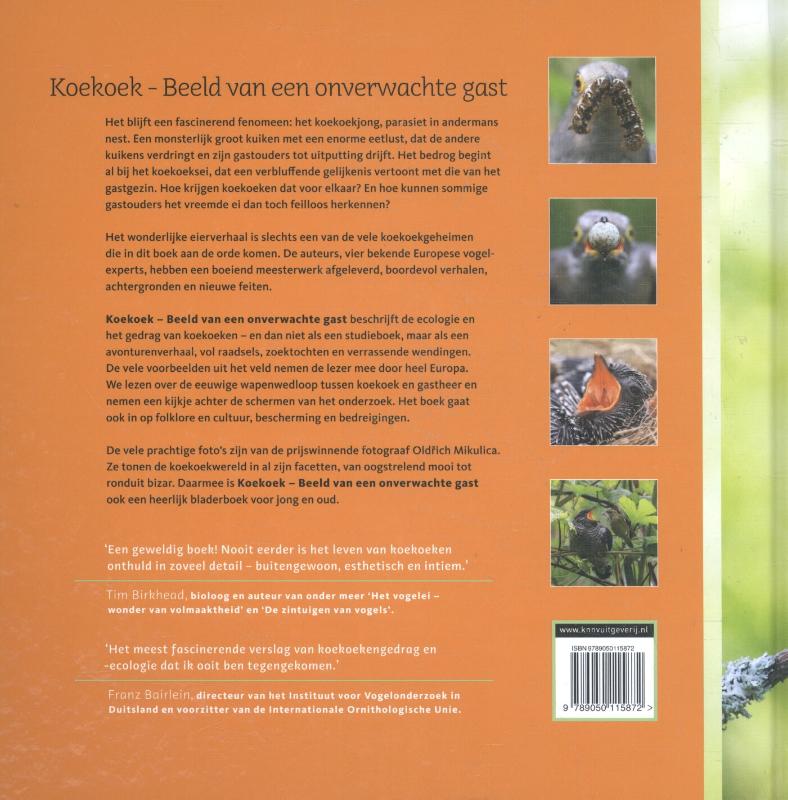 Achterkant van Koekoek