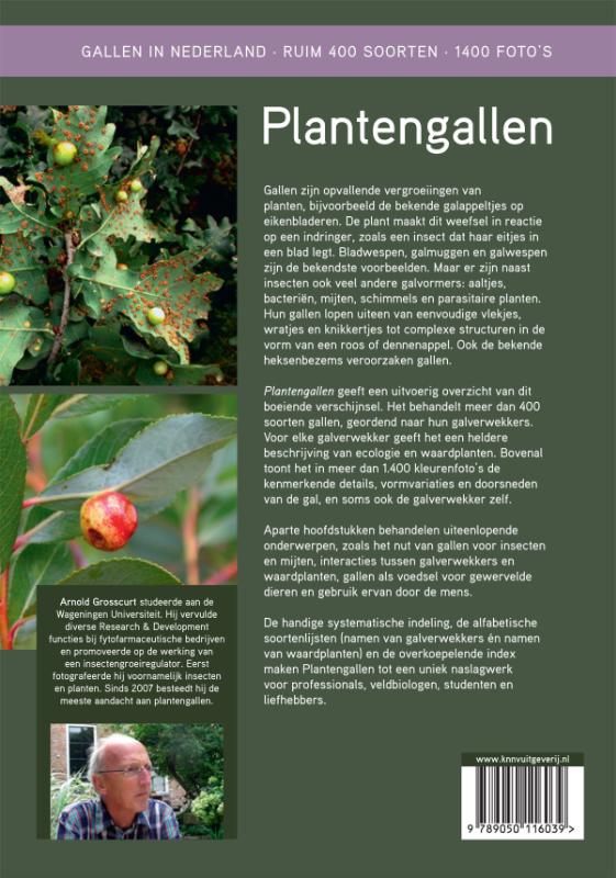 Achterkant van Plantengallen