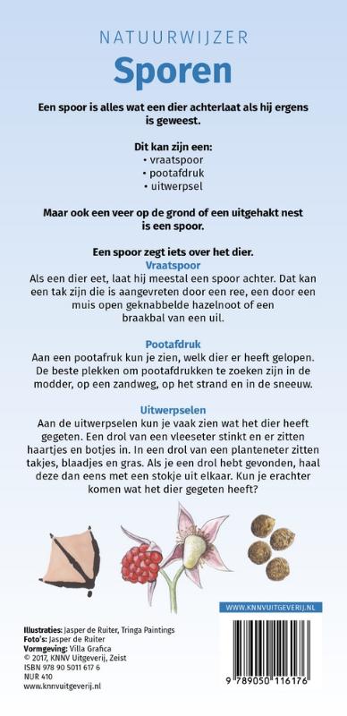Achterkant van Sporen