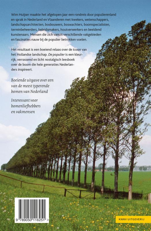 Achterkant van De populier