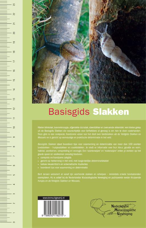 Achterkant van Slakken