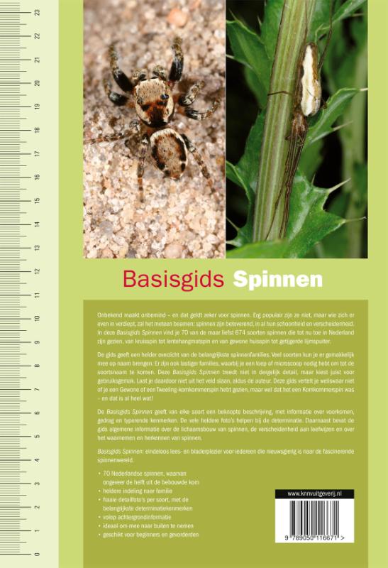 Achterkant van Basisgids Spinnen