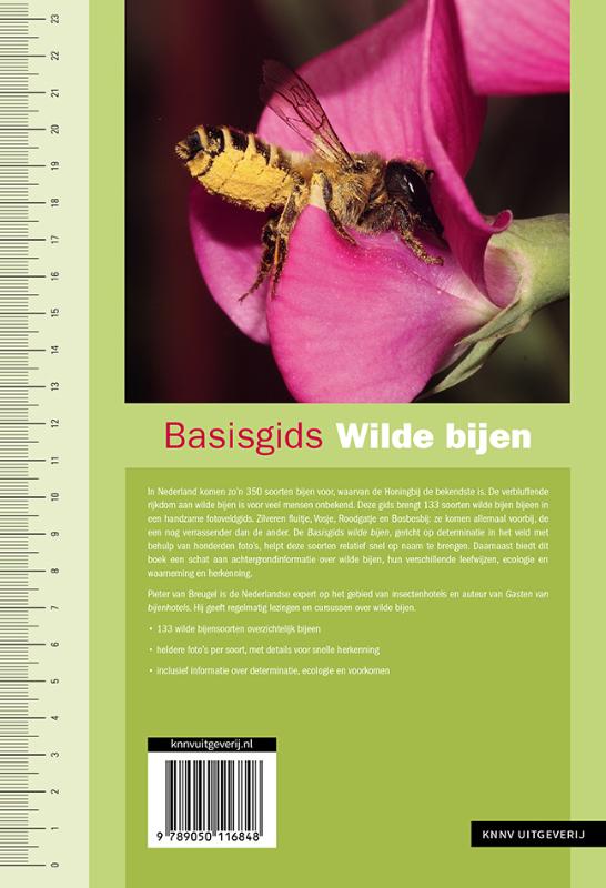 Achterkant van Basisgids Wilde bijen