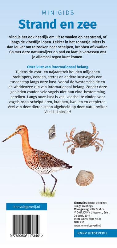 Achterkant van Minigids Strand en zee