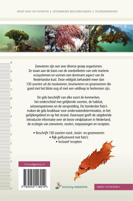 Achterkant van Veldgids Zeewieren