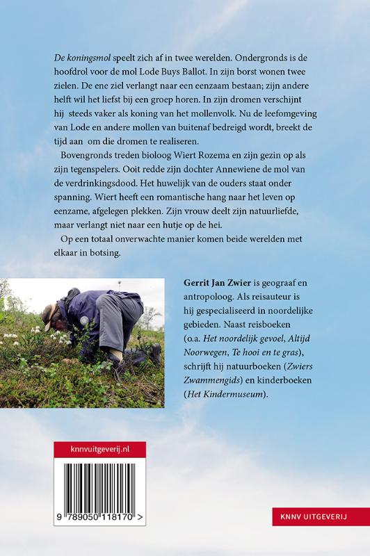 Achterkant van De koningsmol