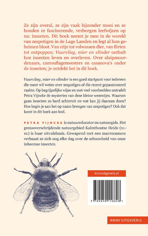 Achterkant van Vuurvlieg, mier en vlinder