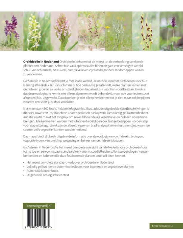 Achterkant van Orchideeën in Nederland