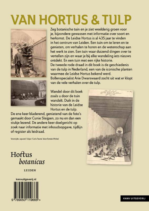 Achterkant van Van Hortus & tulp