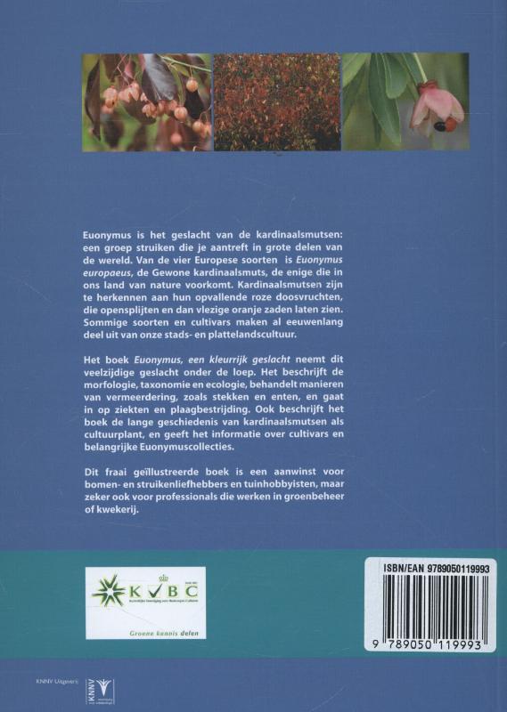 Achterkant van Euonymus