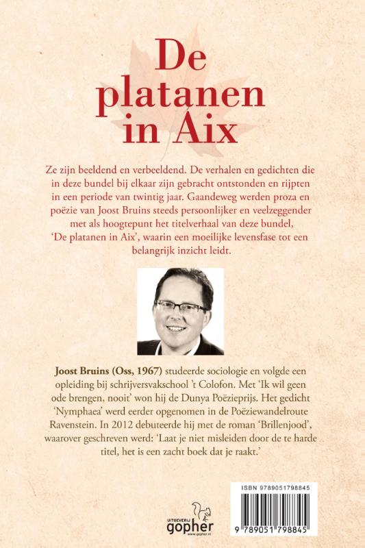 Achterkant van De platanen in Aix